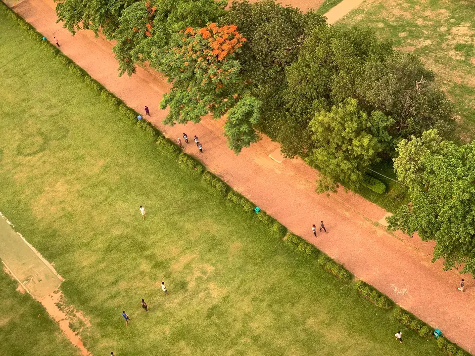 Our Deep Expertise in the Barton Creek Environment — Barton Creek, TX
